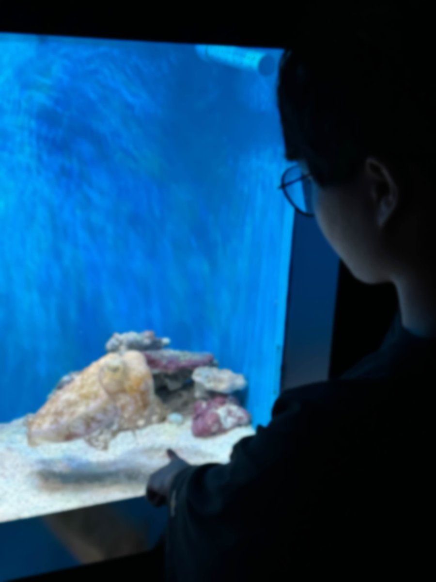 ちちゃふぁいてぃんぐ❔ tweet media