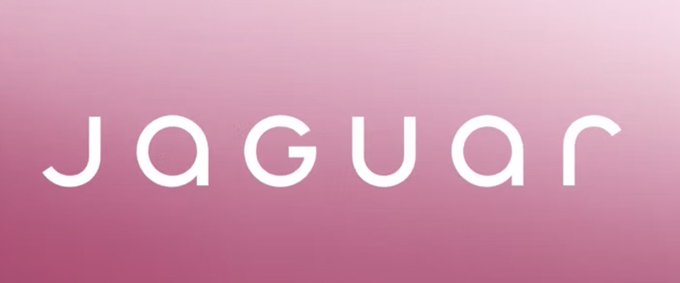 TikTok’s pics and videos