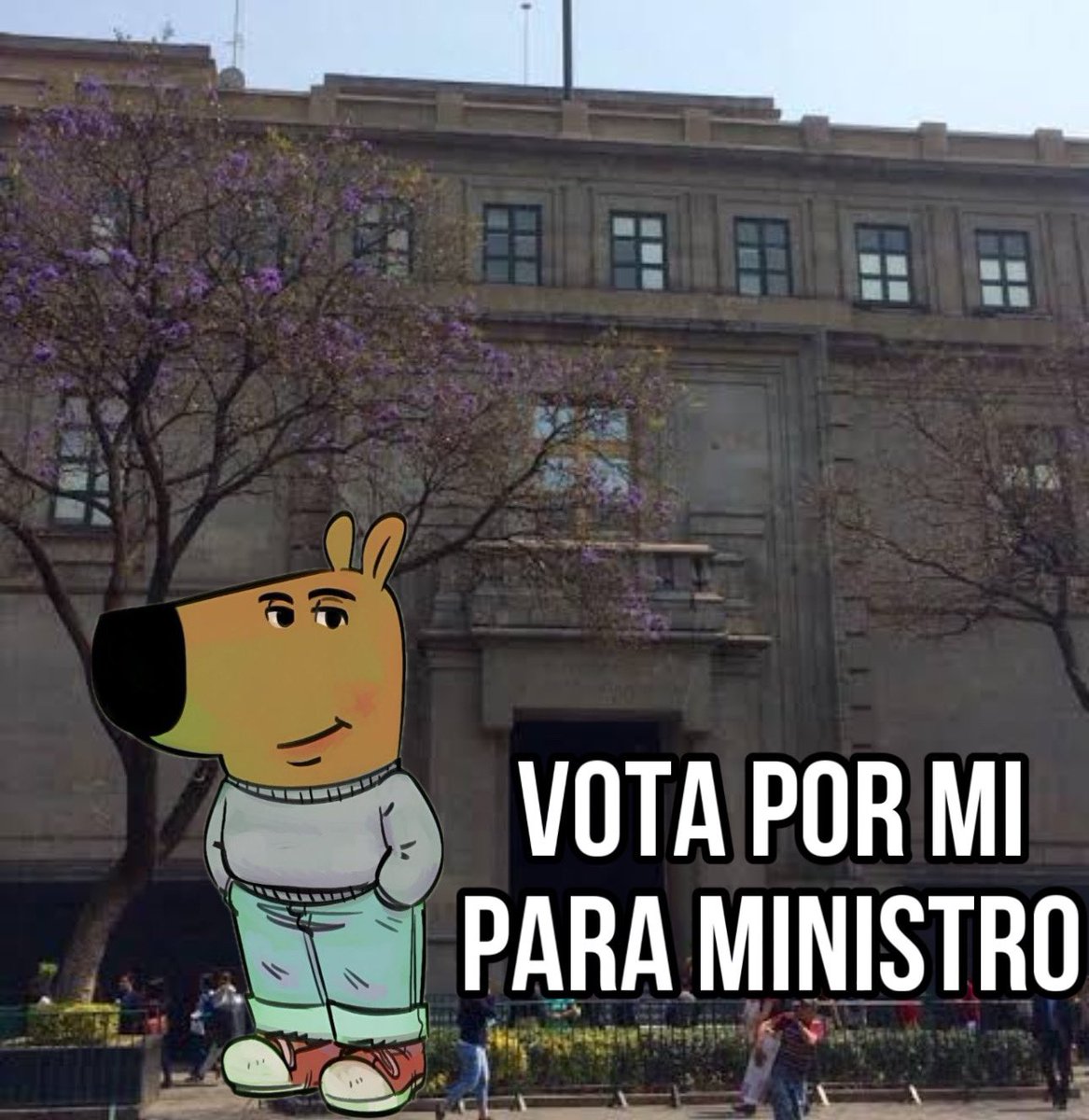 Las campañas: