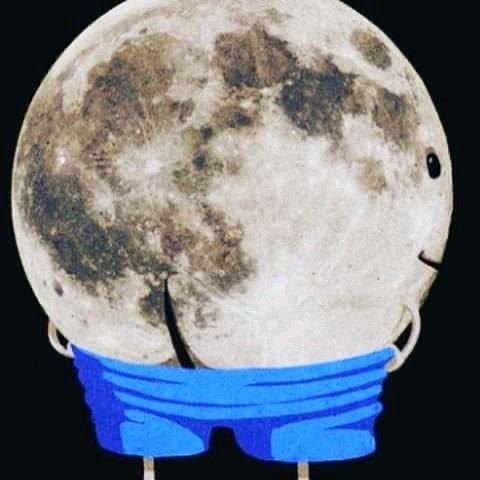 MOON tweet media