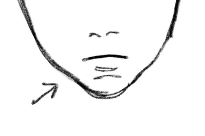 口の下のこの、横線?口元の膨らみ?がある顔が大好きなんですけど、みんなわかってほしー 