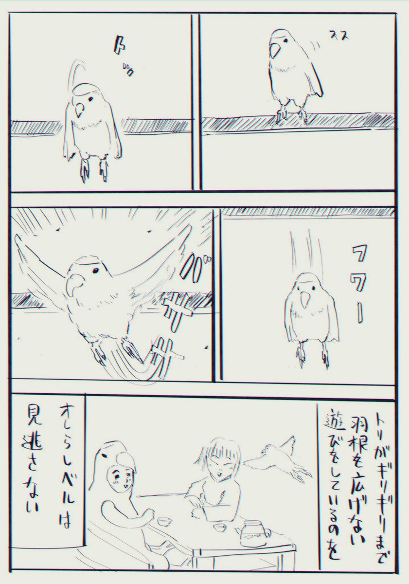 【へんな会話をたくさんしてきた夫婦の話】10/10 