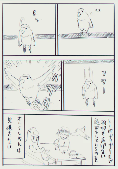 【へんな会話をたくさんしてきた夫婦の話】10/10 