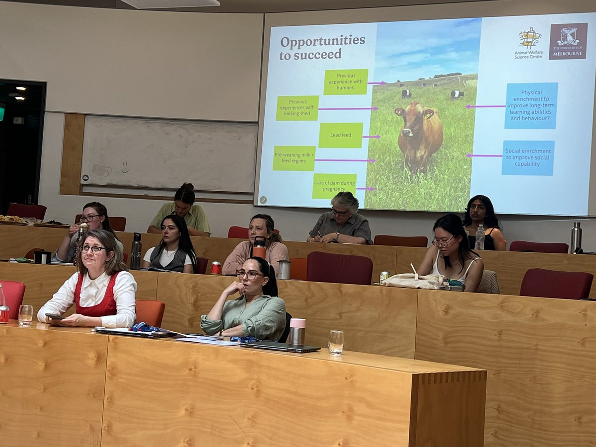 AWSciCent's tweet image. Up now at #AWSC24 is @CowLaura sharing research exploring effects of early life complexity in dairy heifers #animalwelfare #science 🐄