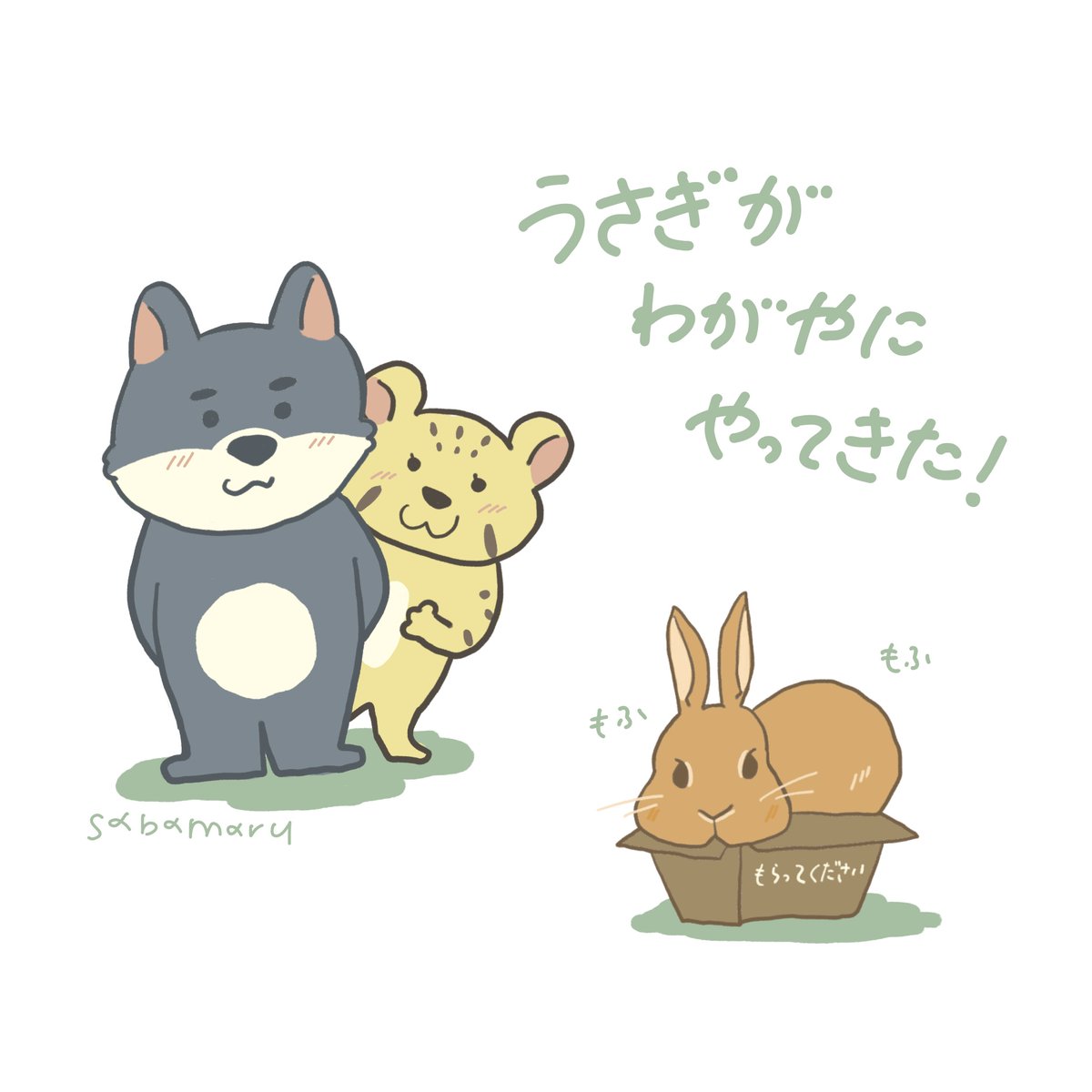 うさぎが我が家にやってきて約半年になります🐰♡