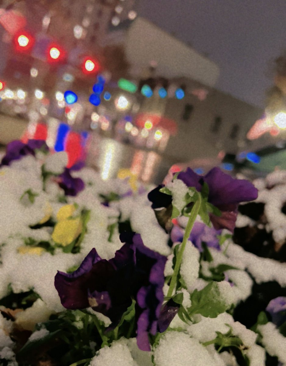 STEMLabOnTheGo's tweet photo. Savoring the magic of Kentucky's inaugural snowflakes, a refreshing start to the season! ❄️  #FirstFlakes #KYWX #Lexington https://t.co/klZZqfT3XE