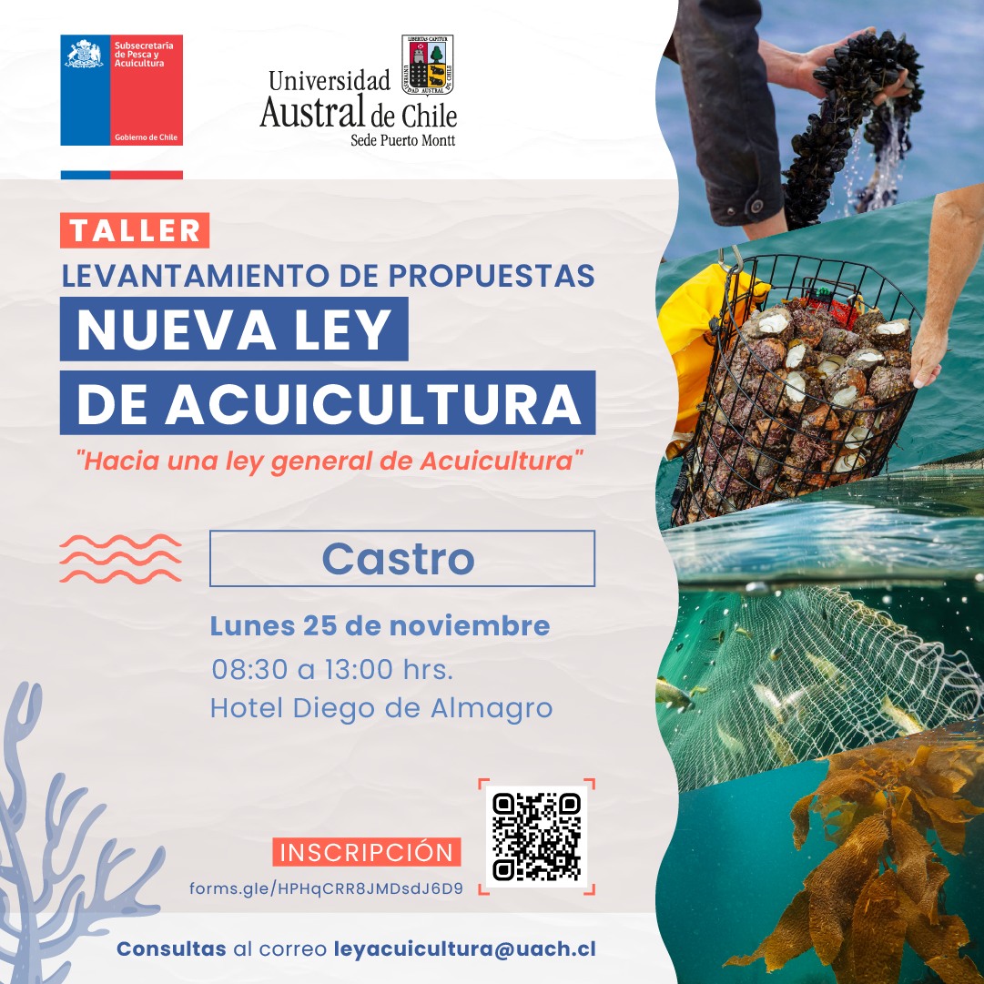 Doctorado en Ciencias de la Acuicultura UACh (@dcauach) on Twitter photo 📅 Te invitamos a participar de un nuevo taller para el levantamiento de propuestas para la nueva Ley de Acuicultura 🌊🐟
👉Inscríbete escaneando el QR de esta publicación o enviando un correo a leyacuicultura@uach.cl ¡Te esperamos! 👏 📅 Te invitamos a participar de un nuevo taller para el levantamiento de propuestas para la nueva Ley de Acuicultura 🌊🐟
👉Inscríbete escaneando el QR de esta publicación o enviando un correo a leyacuicultura@uach.cl ¡Te esperamos! 👏