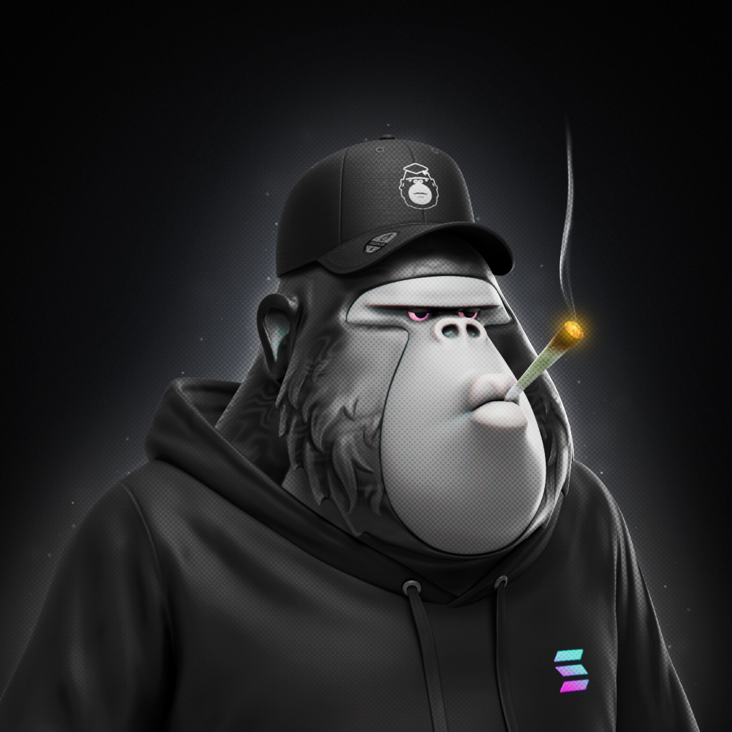 DegenApeAcademy's tweet image. SOLANA ALL TIME HIGH