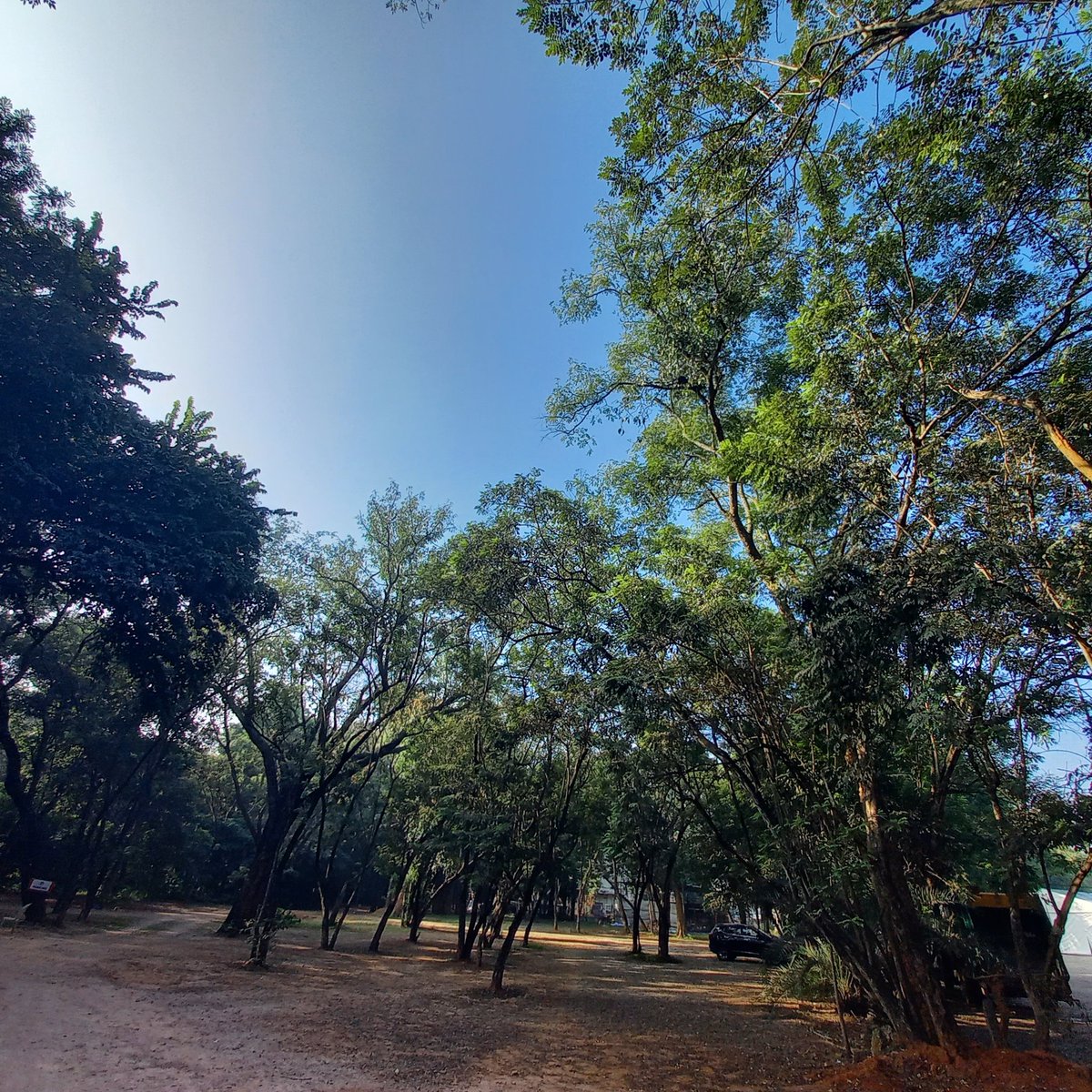 Nature at it's best at <a href="/IRACON24Blr/">IRACON 24</a> venue Chamara Vajra!
Looking forward to the scientific treat in store !
<a href="/IRACON24Blr/">IRACON 24</a> <a href="/IndianRheum/">IRA</a> <a href="/IJRheum/">Indian Journal Of Rheumatology</a> <a href="/debaditya_roy/">debaditya_roy</a> <a href="/ramyasrikodali1/">Ramyasri kodali</a>