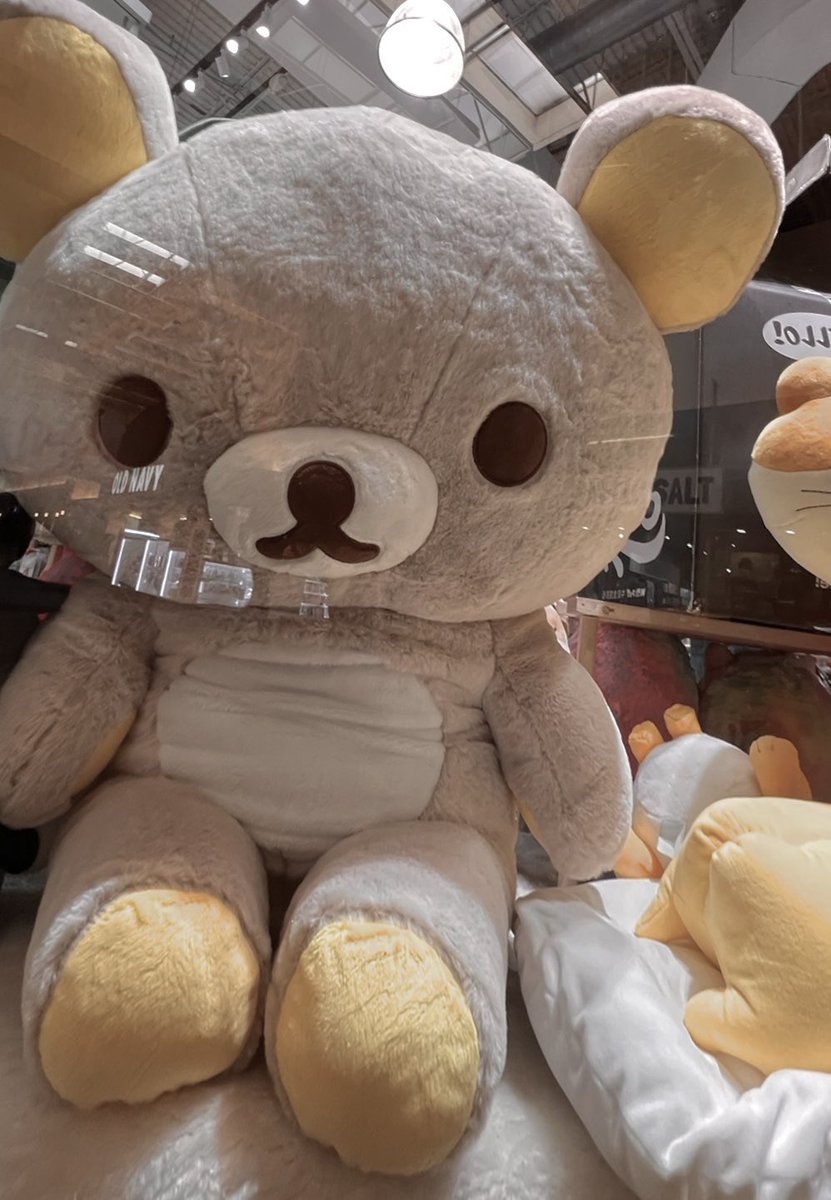 litlbones's tweet photo. i wanted him so bad but he was so expensive 250 dalla... 💔💔 https://t.co/VzIwVuZ9XZ