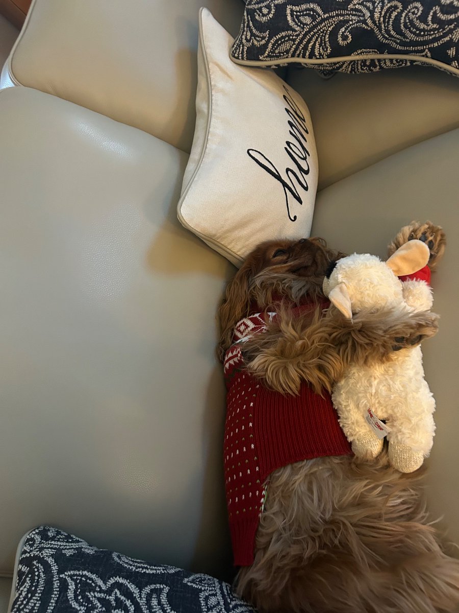 Emily Smith tweet media