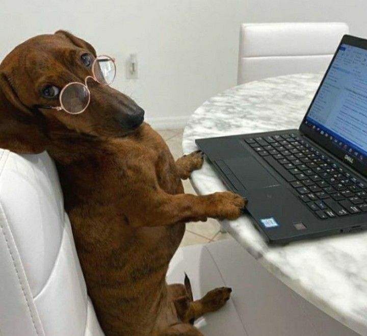 hired a new twitter intern