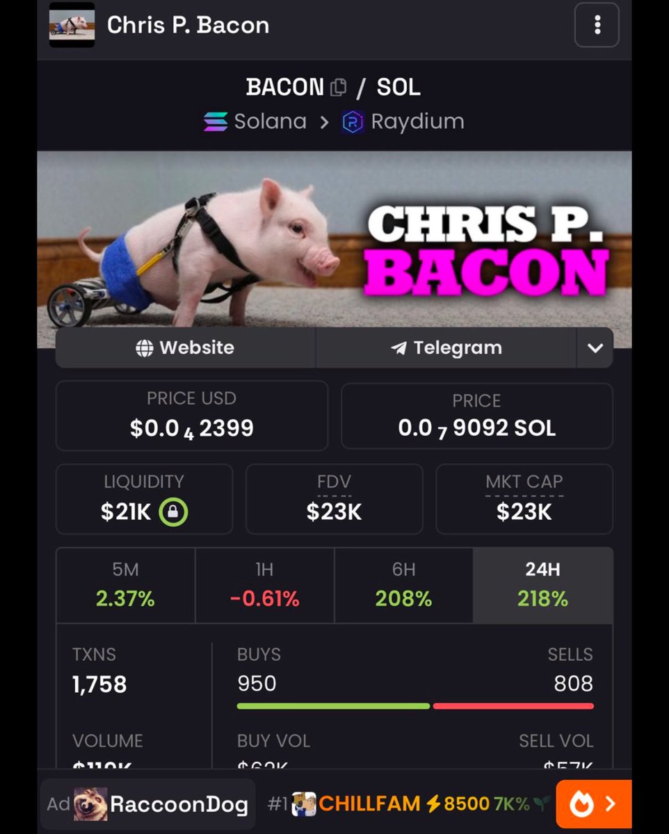 TechnokingOf's tweet photo. @cryptolyxe Chris P. Bacon 
$Bacon

Is there a better name in memes?

23k market cap… will be 100 Million
this will print millionaires 💯 https://t.co/dWL5t4d0zz