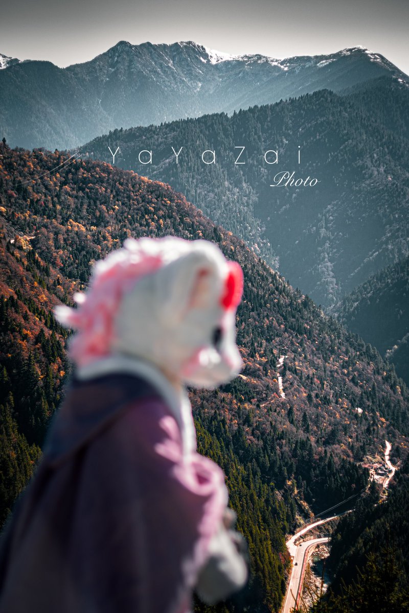 #FursuitFriday
As l watch my world burn
毛替：<a href="/Loong_x_DF/">Loong x DF</a> 
📷&amp;🎨：<a href="/YaYaZaiOvO/">牙牙仔🌸</a>