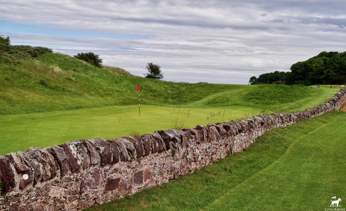 LinksGems tweet media