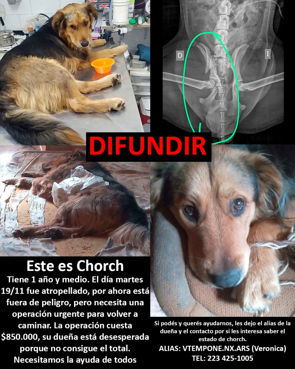 VeroAbuGamer tweet media