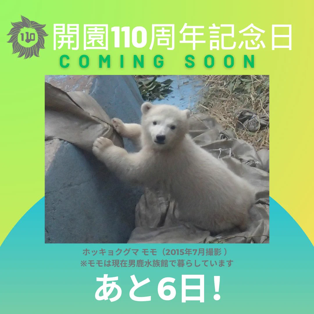 天王寺動物園［公式］ on X: 