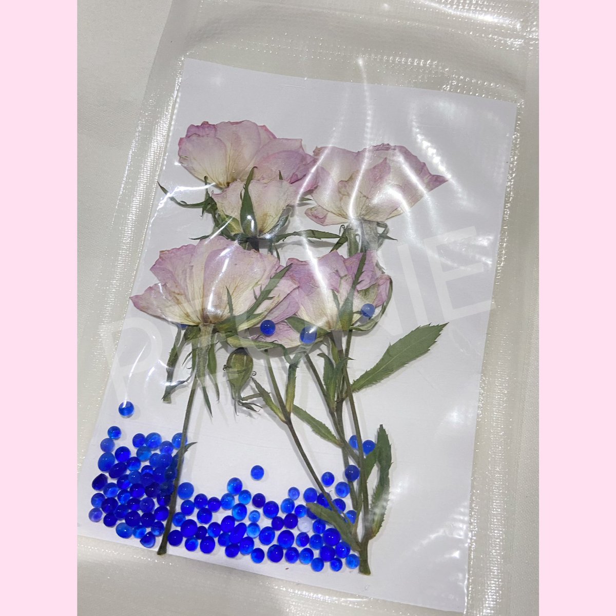 s.shopee.co.th/20eR7cbKe3

กุหลาบแห้งพร้อมส่งค่ะ☺️