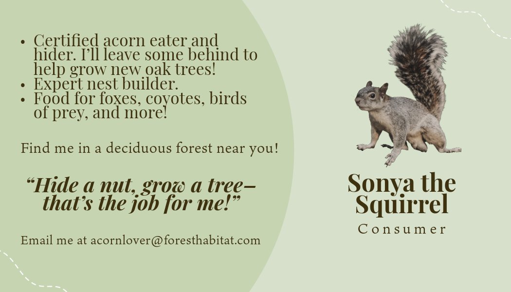Arianna Trickey (@ms_trickey) on Twitter photo Sometimes my job involves me making business cards for squirrels at 11 pm 😂 If you also want to make your very own niche business card, check out the basic template here ➡️ bit.ly/3Oo7E61 #AdobeEduCreative <a href="/AdobeForEdu/">Adobe For Education</a> Sometimes my job involves me making business cards for squirrels at 11 pm 😂 If you also want to make your very own niche business card, check out the basic template here ➡️ bit.ly/3Oo7E61 #AdobeEduCreative <a href="/AdobeForEdu/">Adobe For Education</a>
