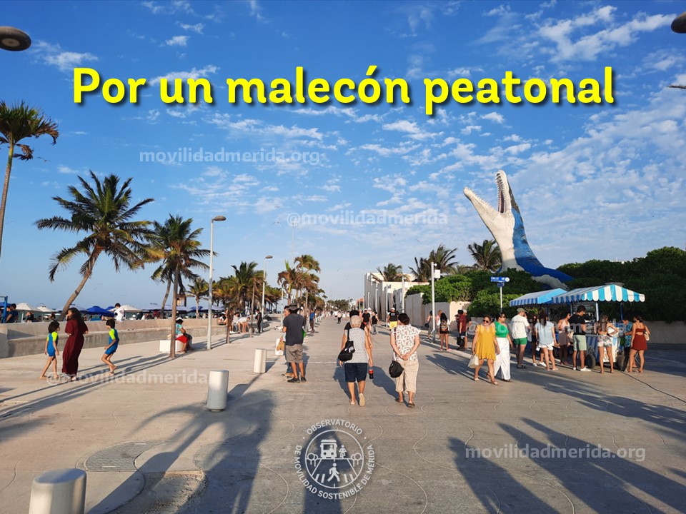 POR UN MALECÓN PEATONAL
Tras 4 años de consolidarse como un ameno espacio peatonal, presidente municipal de Progreso <a href="/erikrihaniglez/">erikrihaniglez</a> anunció que reabrirán el Malecón de Progreso al tránsito de vehículos motorizados para el año 2025. Abrimos hilo al respecto.