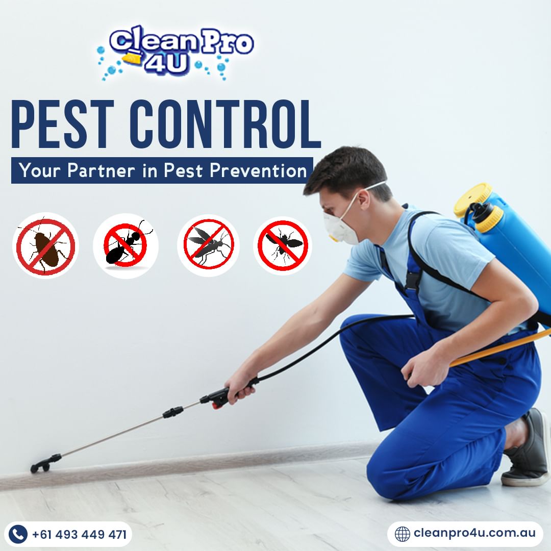 cleanpro4u's tweet image. With our cutting-edge solutions and friendly service, you can enjoy peace of mind knowing that your space is safe and sound 😍🤩🥰

#Cleanpro #cleanpro #cleanpro4u #PestControlExperts #pestcontrolservice #pestcontrolservices #pestcontroltips