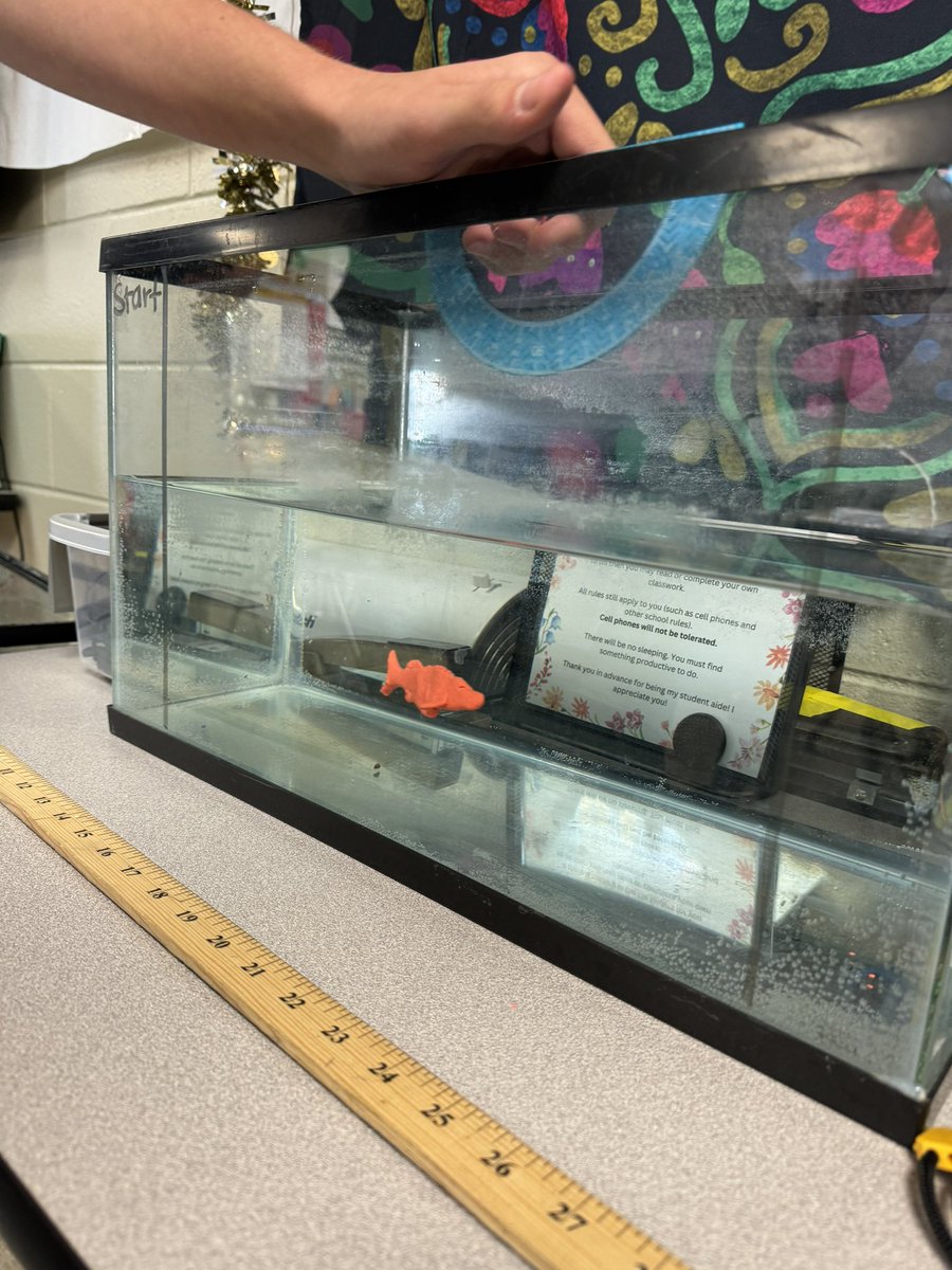 Aqua took their knowledge of fish body forms to the test today by engineering and designing their own fish! 

It was a lot of fun seeing which fish were the most fit and fastest moving through the water! 

#ForwardEver #MHS <a href="/MunfordHigh/">Munford High School</a> <a href="/TCBOE/">Talladega Co Schools</a>