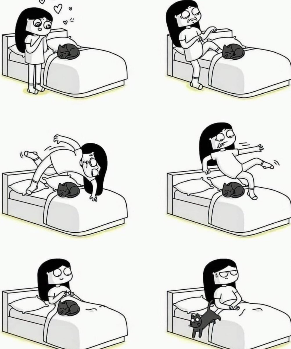 gatinarios's tweet image. 