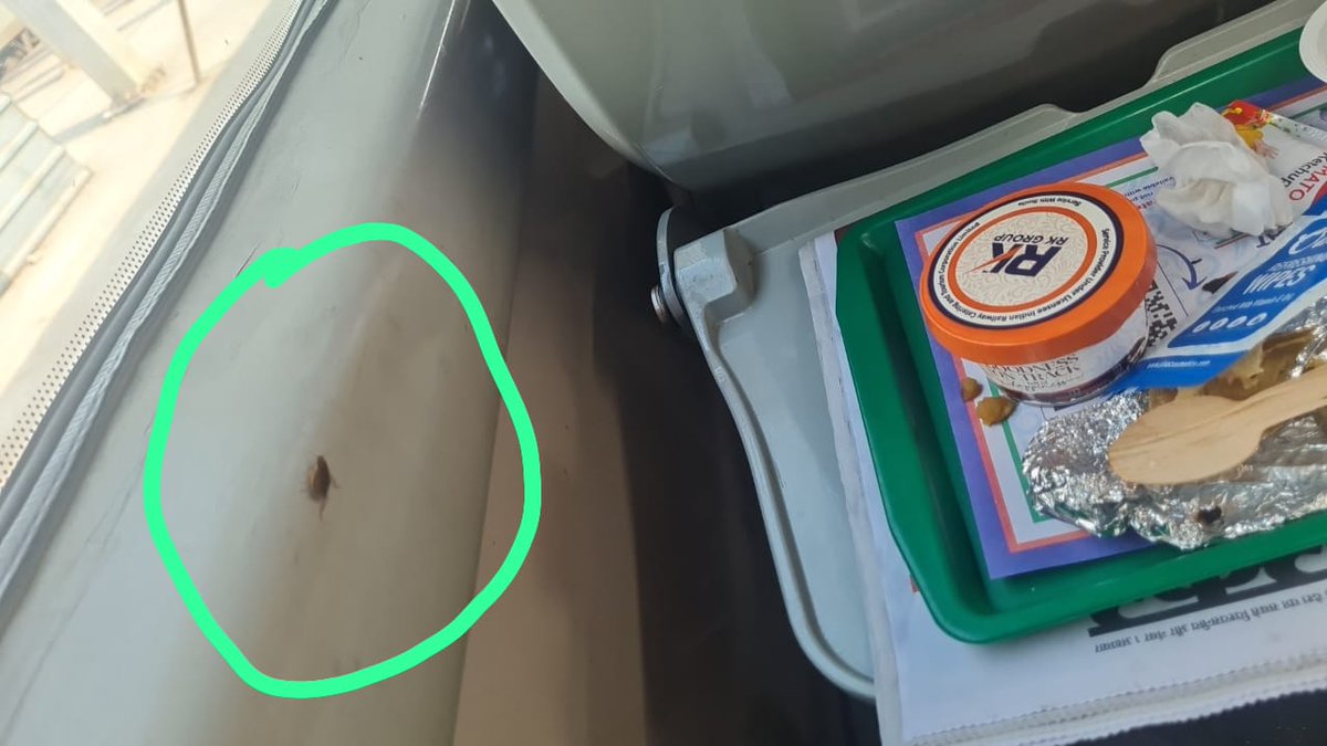 Vande Bharat cockroach from window is approaching my mea l while traveling from Bhopal to Nizammudin today. C14 seat 16.
<a href="/RailMinIndia/">Ministry of Railways</a> <a href="/AshwiniVaishnaw/">Ashwini Vaishnaw</a> <a href="/IRCTCofficial/">IRCTC</a>
