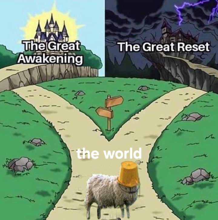 redpillb0t's tweet image. 