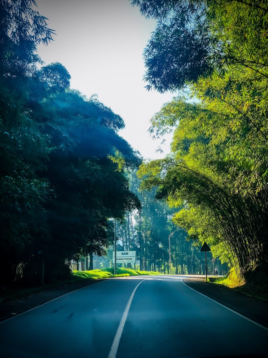 FabRugumire's tweet photo. Good morning, Rwanda 🇷🇼
 
📍Huye|| 📸@WillyBlack__ https://t.co/omszYkJFJd