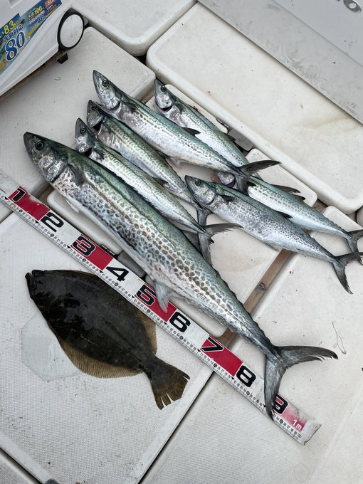 これからかなっ 