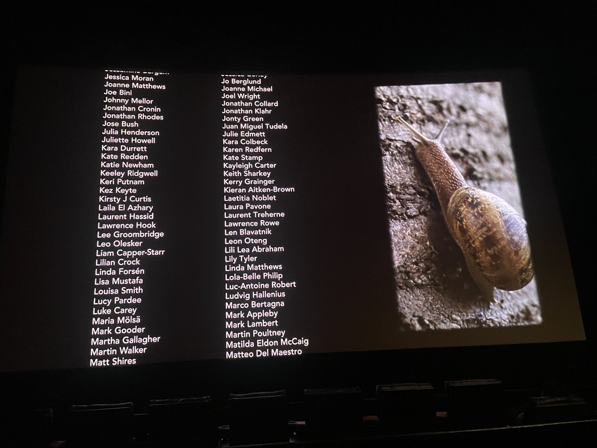 blade study intern tweet media