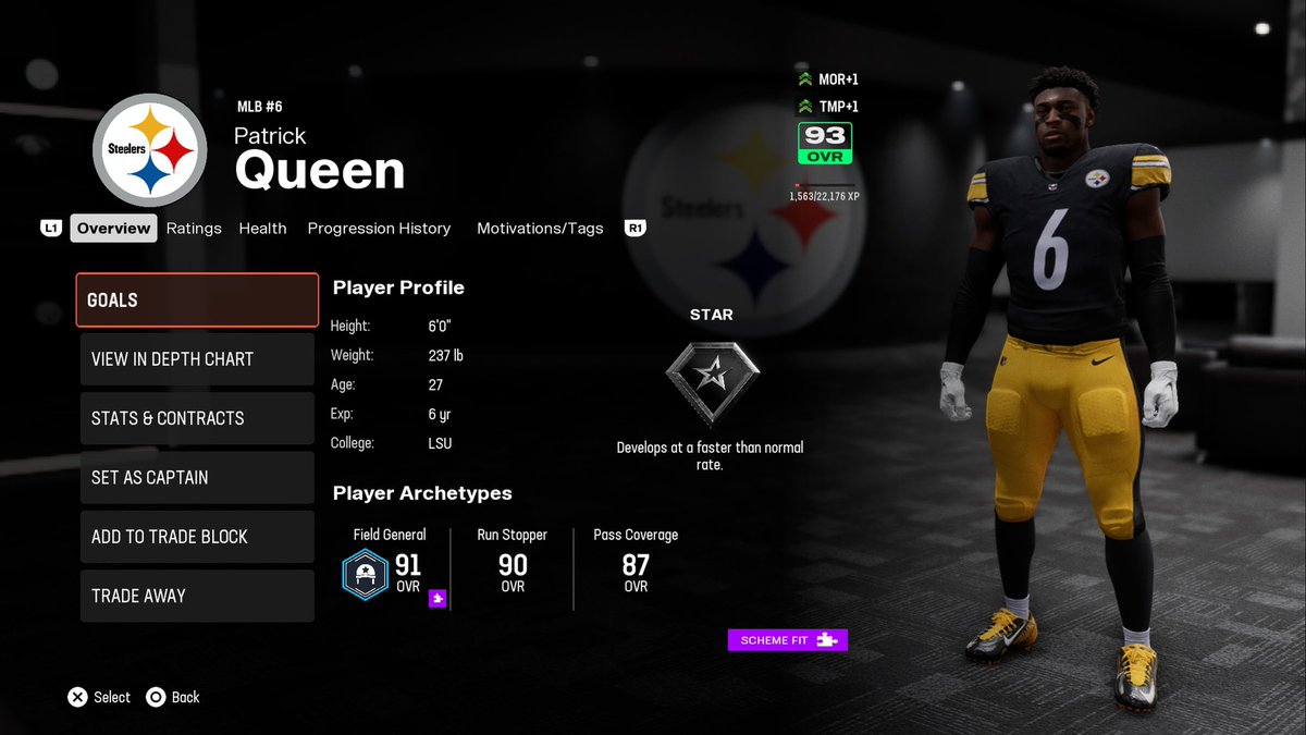 Pittsburg Steelers 🐝 (2x)🏆🏆 tweet media