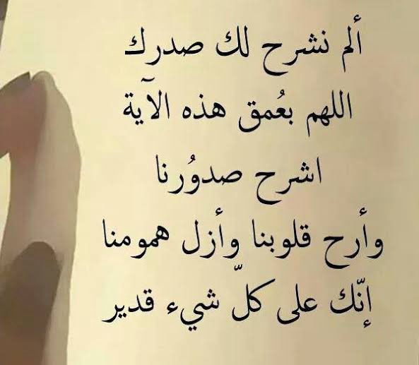 Rania Hashem (@rania7ashem) on Twitter photo 