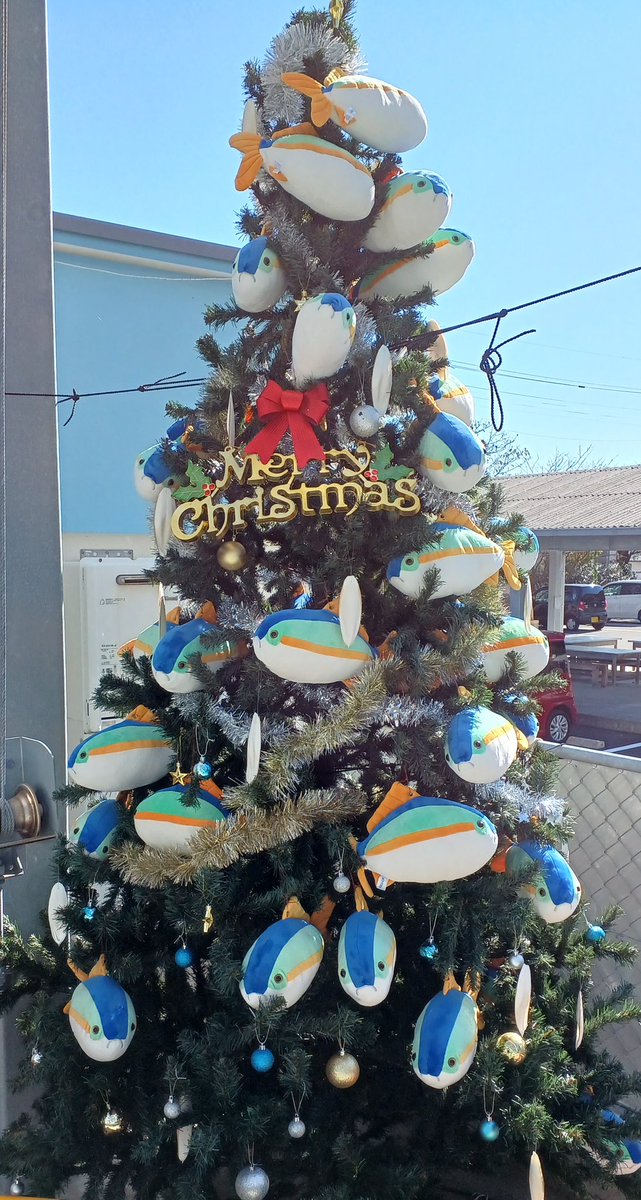 murosui_kochi's tweet photo. 館長から「冬になったらクリスマスブリーの設置を」と指示を受けていたので設置。

いつからが冬なのか館長に聞くと、

「館内すべての自販機にホットが入った時」

とのことでした。 https://t.co/5qfLW2VTCd