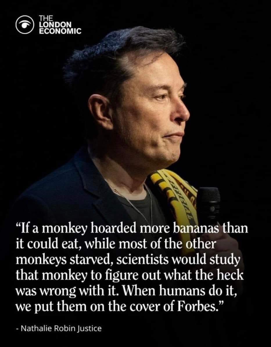 LunchboxConvo's tweet image. #monkeyseemonkeydo