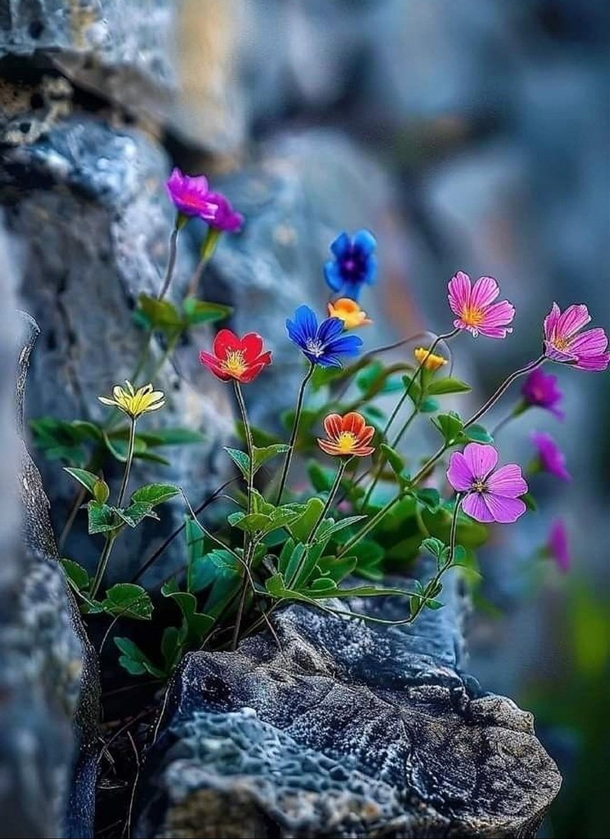 Sky15022010's tweet photo. Happy Friday 🌺 everyone https://t.co/YQxMQcJJZQ