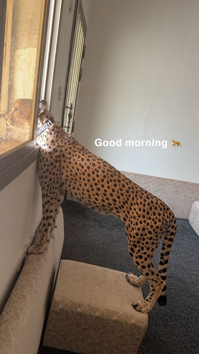 Good morning