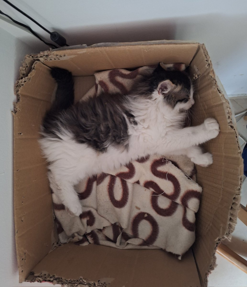 drug mucek, ista škatla, ista dekca

#Taxi🩶