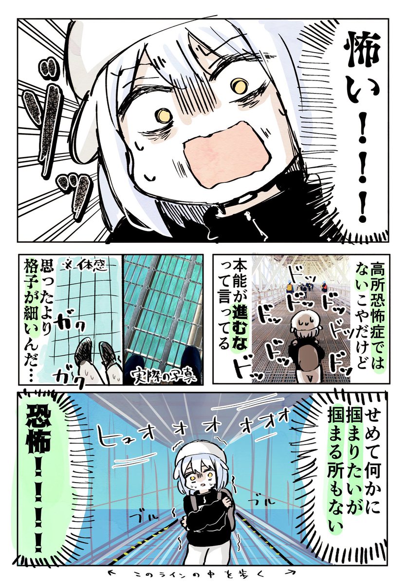 明石海峡大橋を徒歩で渡ってみた!レポです!!!🌉🐙(2/3) 