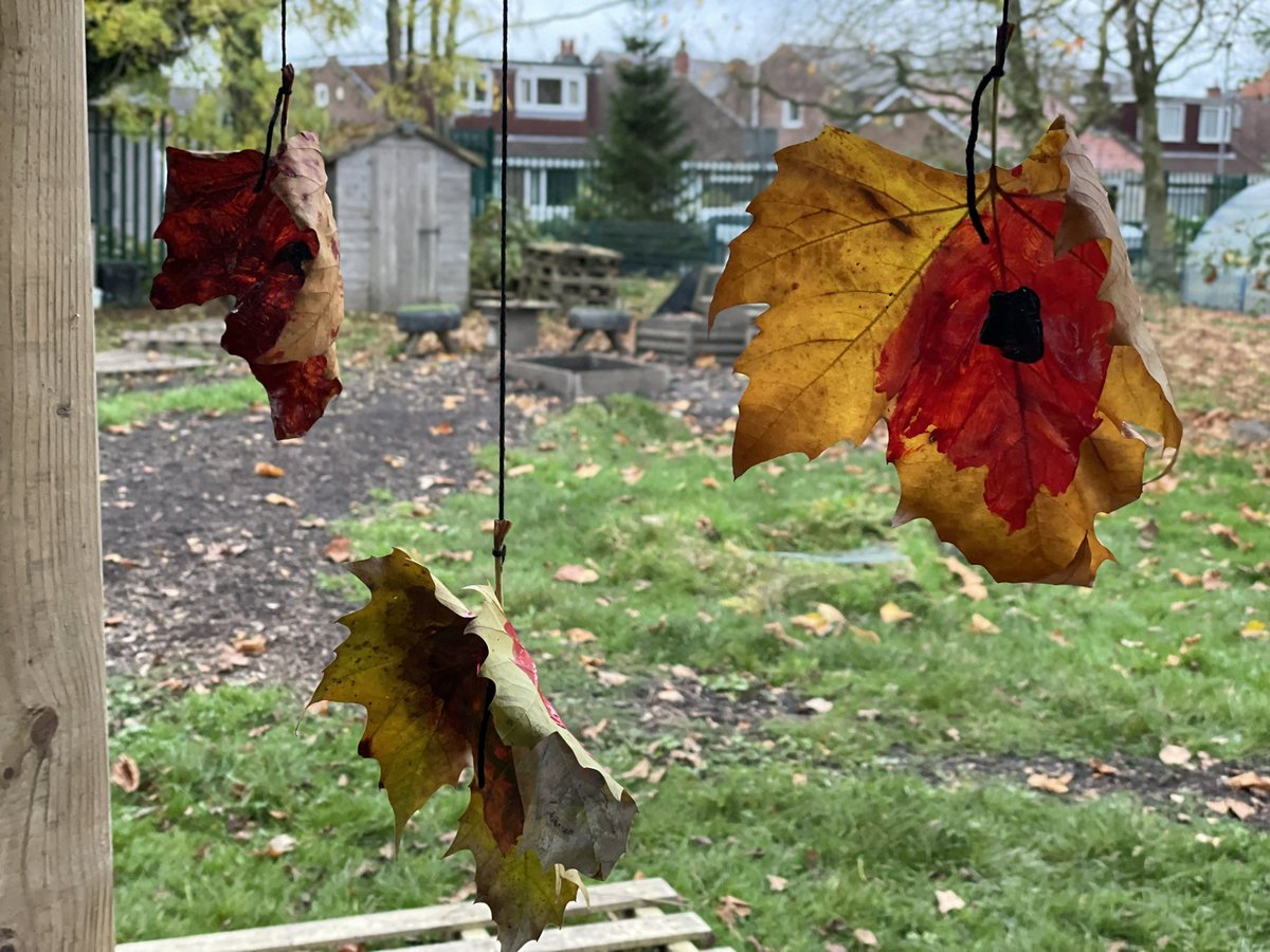 Our beautiful leaf poppy danglies decorating the #forestschool 
shelter this week. Well done 2 Rashford you have all done a fantastic job #RememberanceDay2024 #doallyoucan
