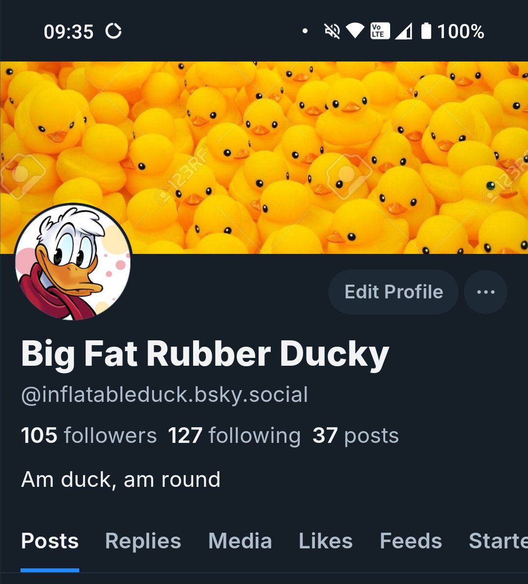 TangoRubber's tweet image. Reminder, I will be more active here, going forwards