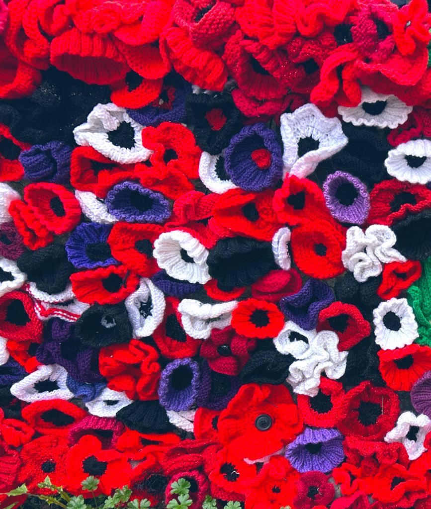 🤍
When You Go Home
Tell Them Of Us And Say
For Your Tomorrow
We Gave Our Today

Pass the poppy 🌺

          ❤❤❤
        ❤❤❤❤
      ❤❤🖤❤❤
        ❤❤❤❤
           ❤❤❤
                🌱
              🌱
                🌱
     
#RemembranceDay #LestWeForget