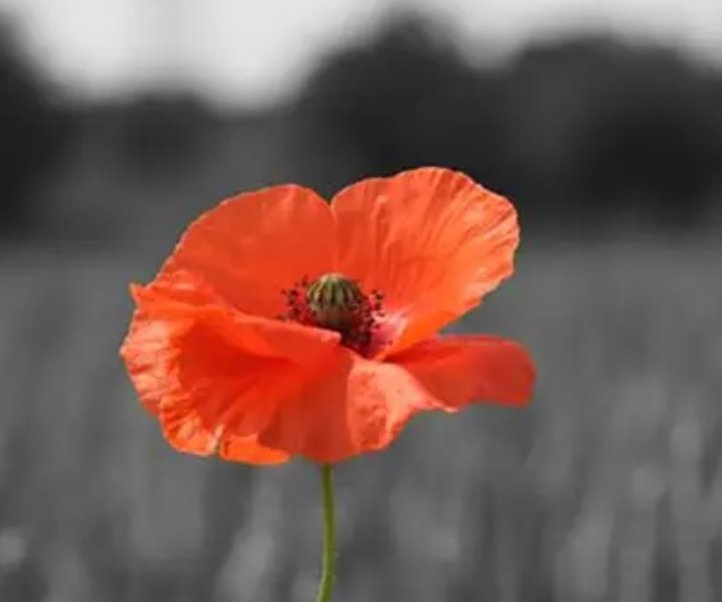 DJ Makin tweet media