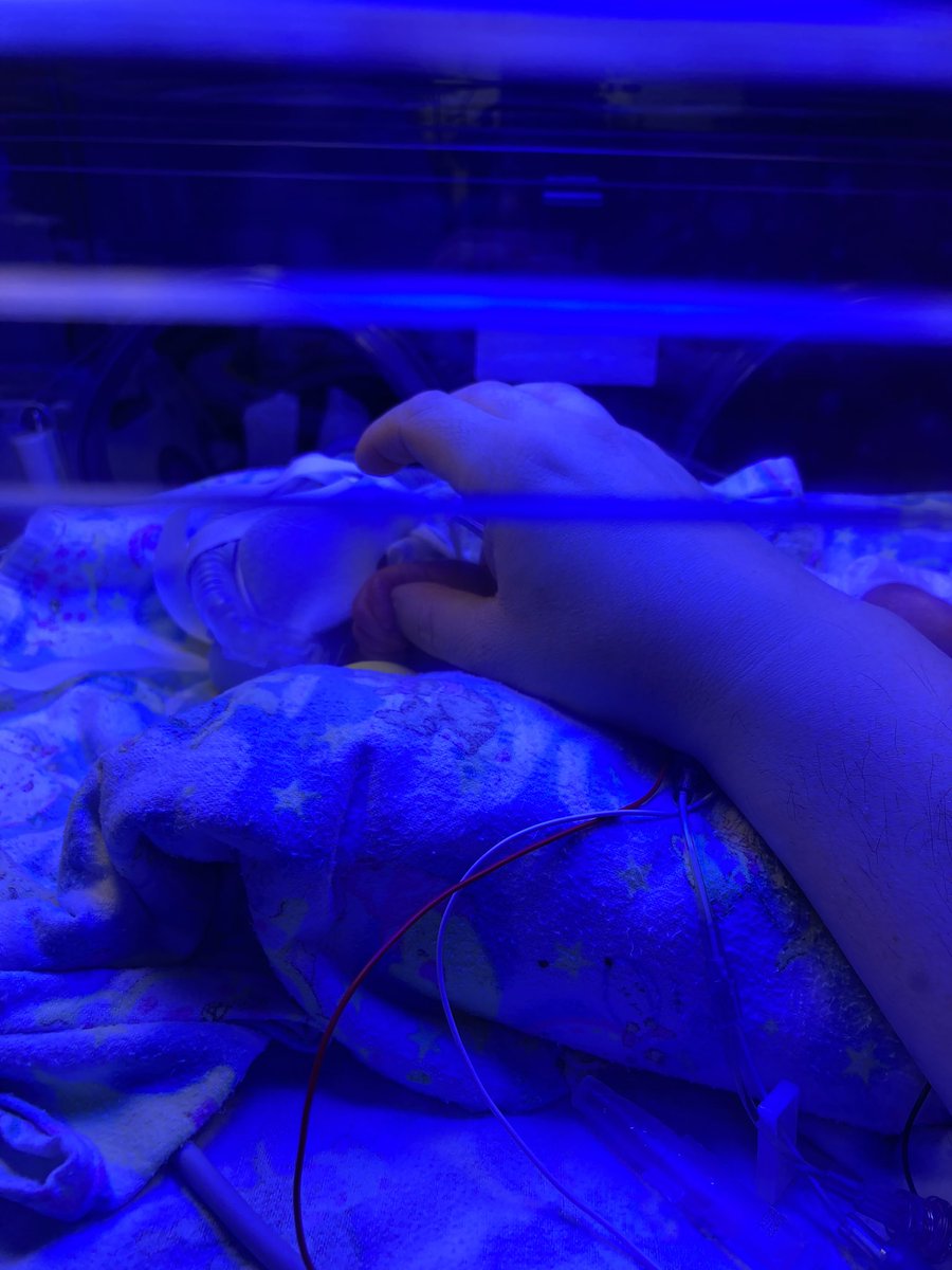 JP Quinn tweet media