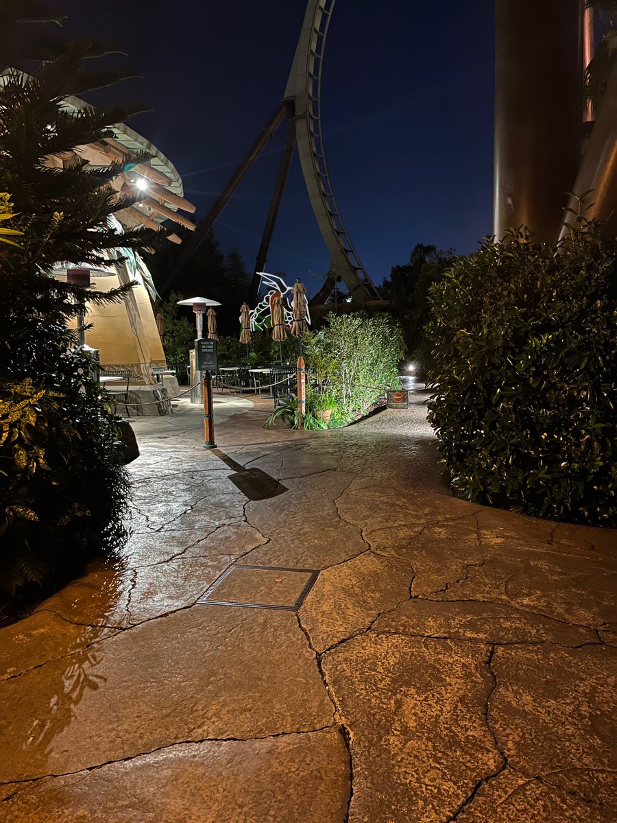 ⚠️幻覚rkgk
入り見てきた