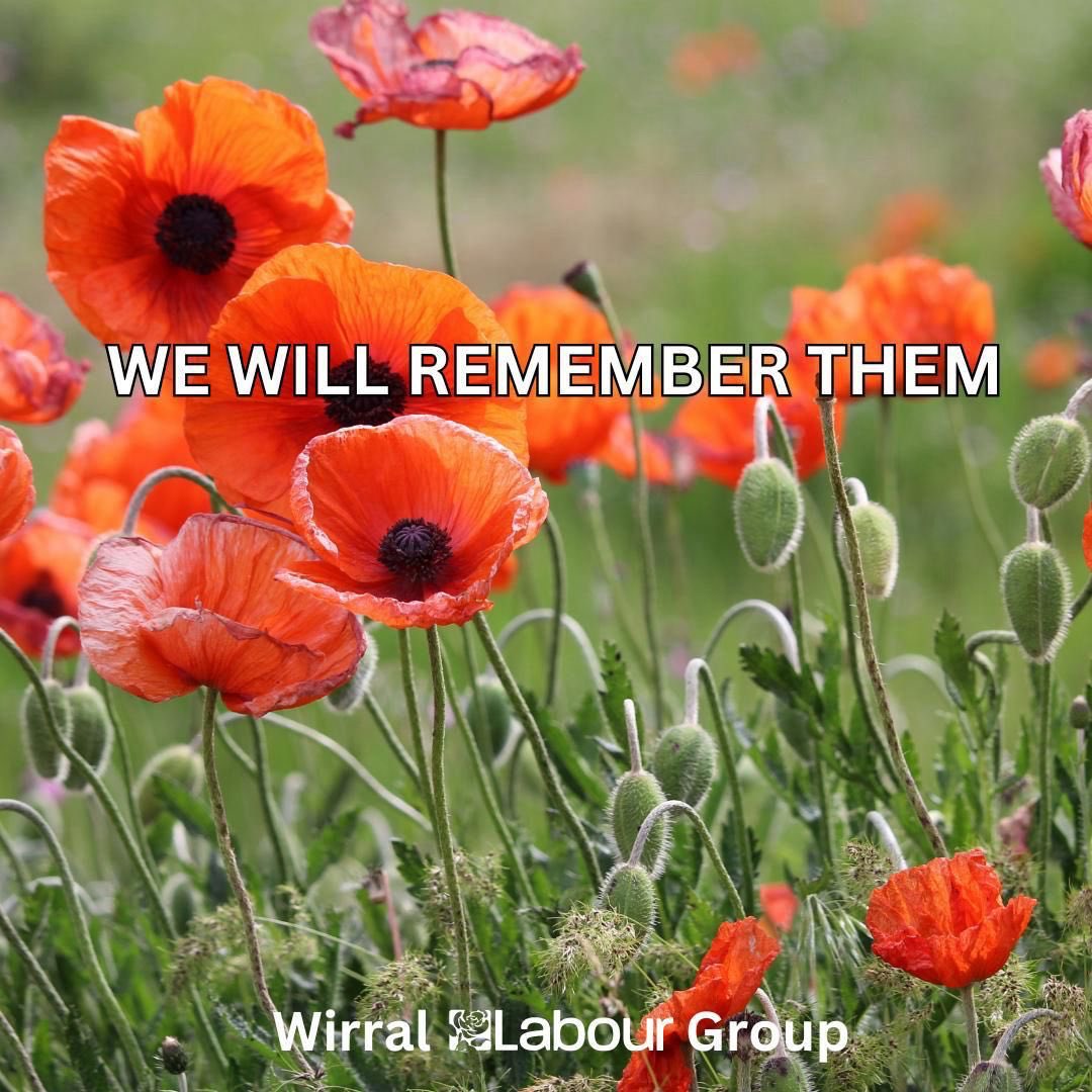 "They shall grow not old, as we that are left grow old: Age shall not weary them, nor the years condemn. / At the going down of the sun and in the morning, We will remember them."