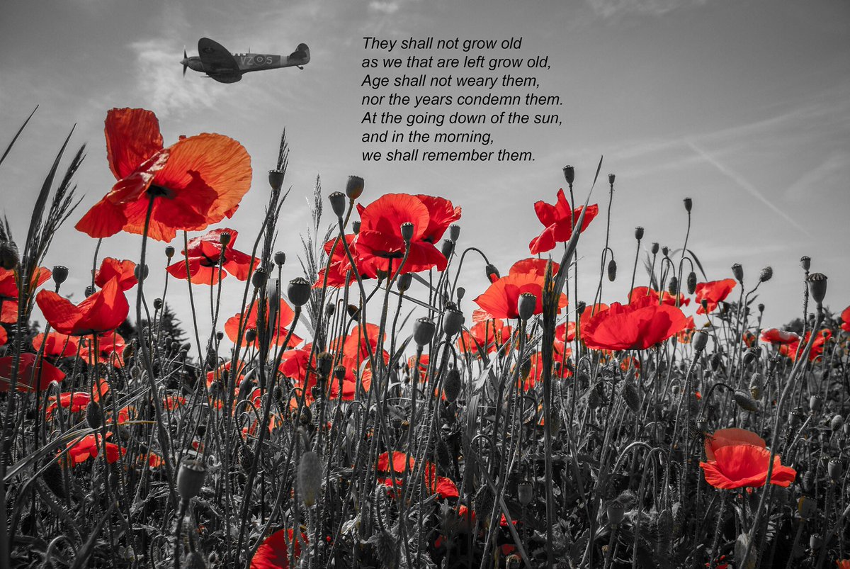 15HeatsLater's tweet image. We Shall Remember Them

#NeverForget #WeShallRememberThem #HonourTheFallen #RememberanceSunday