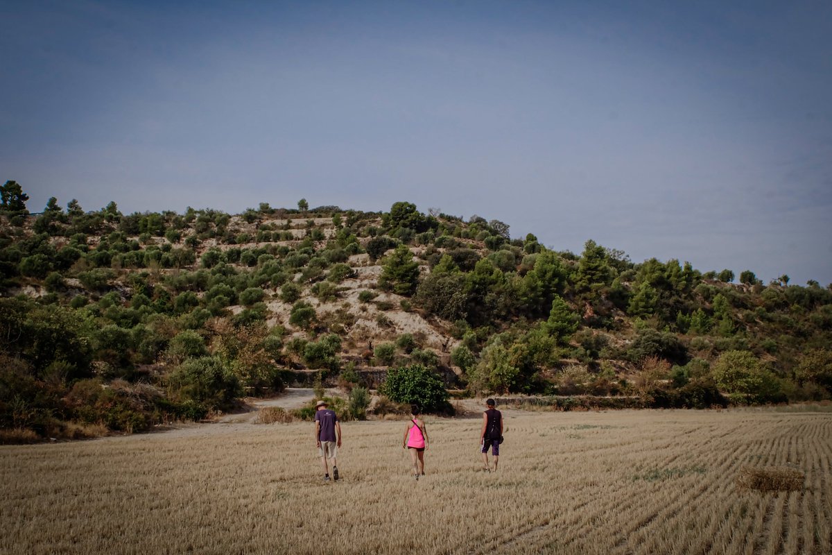 Repoblem tweet media