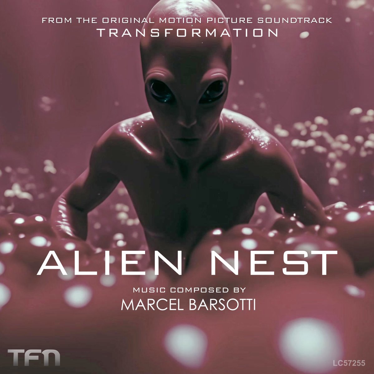 BarsottiMarcel's tweet photo. 👾 OUT NOW | ALIEN NEST!! Second single release of the upcoming Original Motion Picture Soundtrack TRANSFORMATION
https://t.co/DdftaMN73Q
#aliennest #youtube #single #amazon #transformation #applemusic #spotify #deezer #electronic #soundscapes #ambient #score #marcelbarsotti https://t.co/8We3OSyfrg